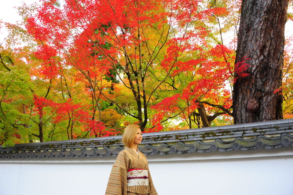 大人の京都は永観堂の紅葉
