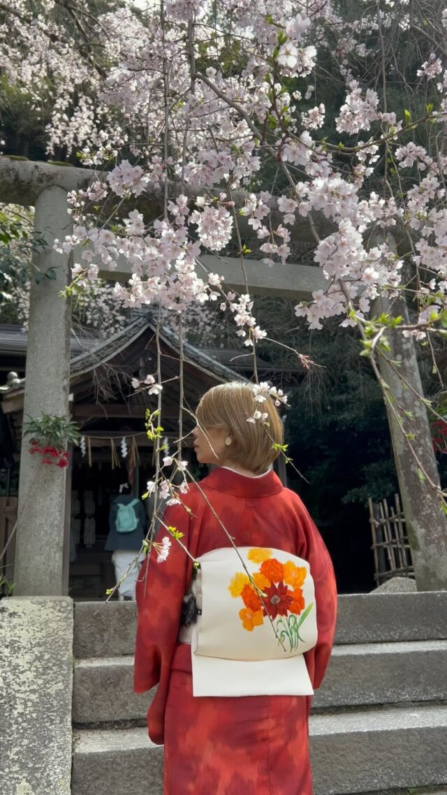 UME SAKURA – 京都 寺町御所南 大人の着物レンタルサロン | Kyoto Kimono Rental